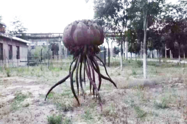 QQ圖片20150623100750.png QQ圖片20150623100750.png